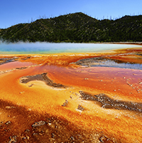 Yellowstone National Park. PHOTO: iStockPhoto