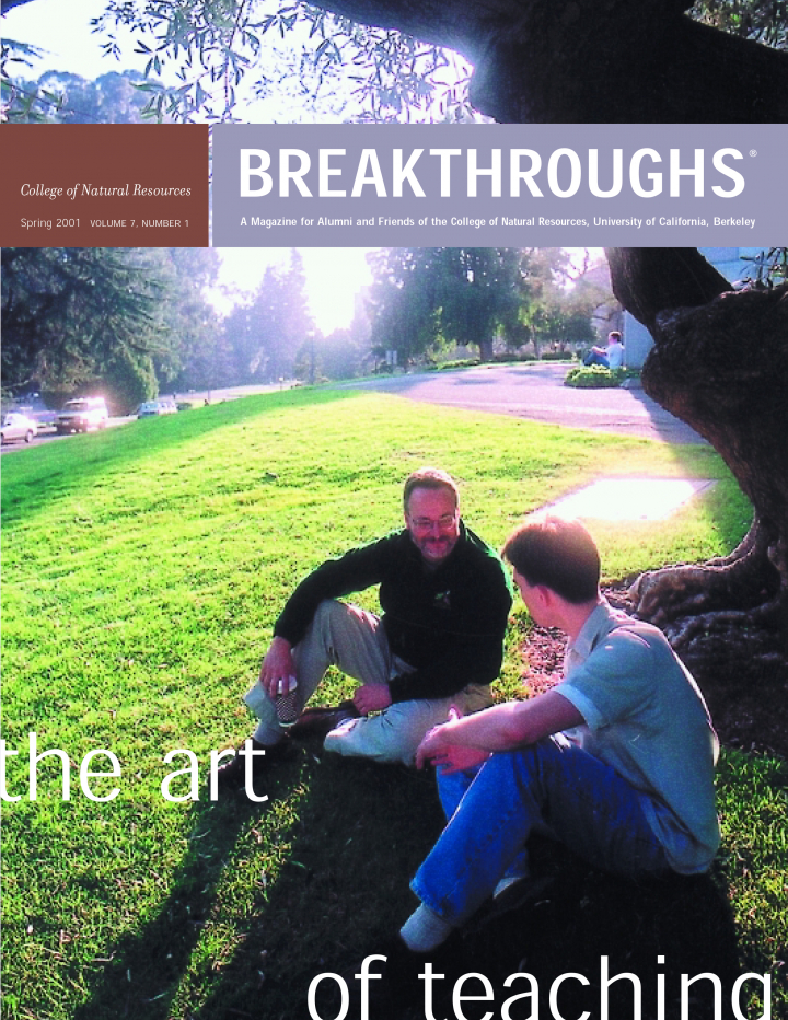 Cover of Breakthroughs Spring 2001, Two people sitting on a grassy hill