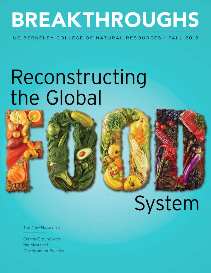 Breakthroughs Fall 2013 issue on Reconstructing the Global Food system
