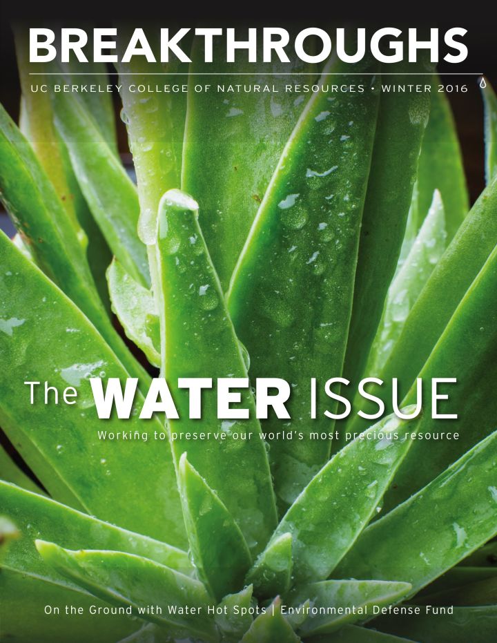cover of the winter 2016 Breakthroughs magazine, a succulent plant to represent the water issue