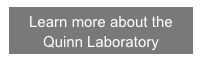 Learn more about the Quinn Laboratory