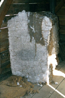8Gearbelt1.jpg (38875 bytes)