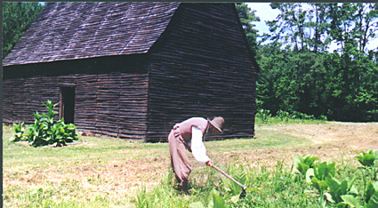 Wampanoag Village panorama
