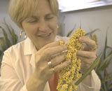 Peggy Lemaux