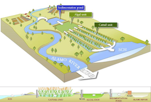 Salton_Sea_Proposed_wetland_design_305.jpg