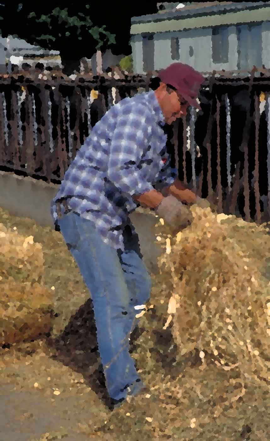 Agricultural Labor Management