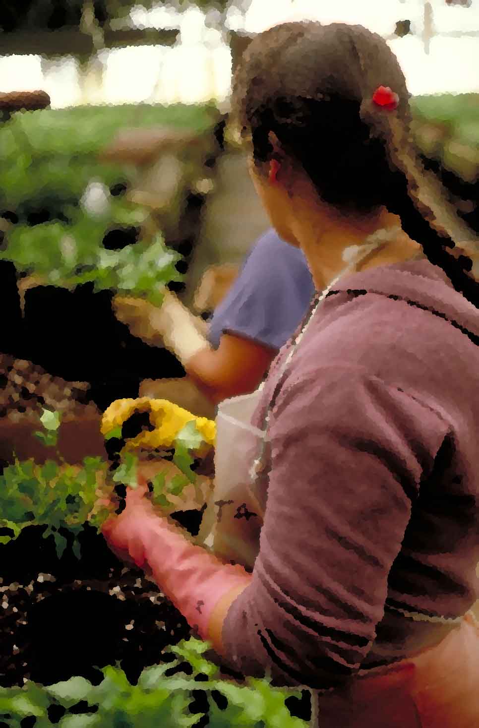 Administracin Laboral Agrcola
