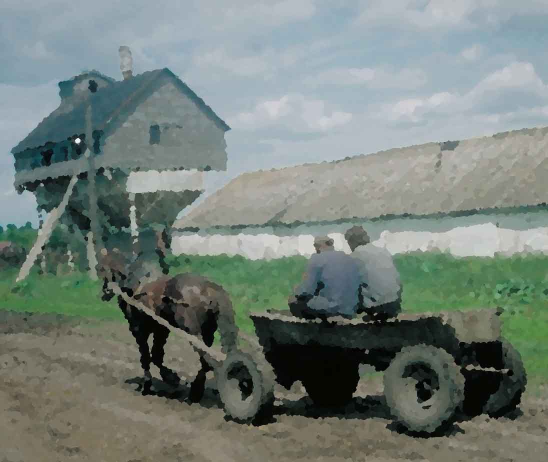 Agricultural Labor Management